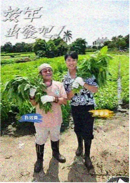 闪婚老公竟是首富 短剧在线观看